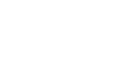 Energy Point
