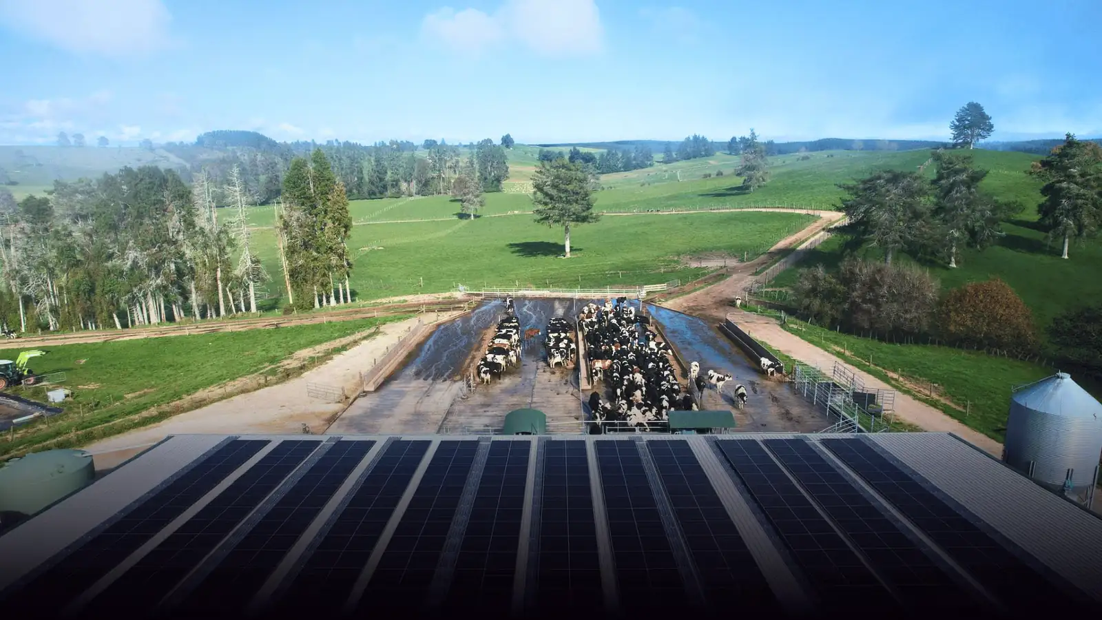 Ground-mounted solar panels on a rural Waikato property