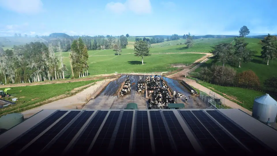 A rural Waikato property with a ground-mounted solar array